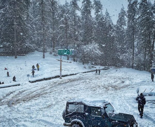 shimla kufri tour packages