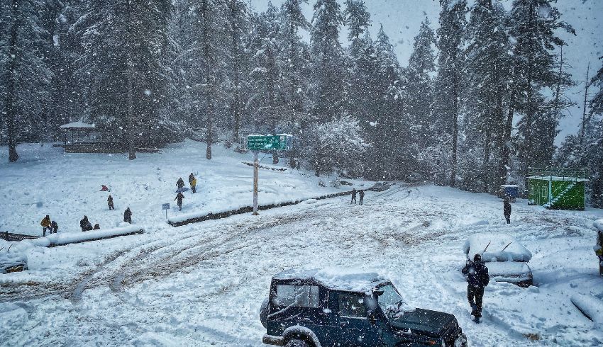 shimla kufri tour packages